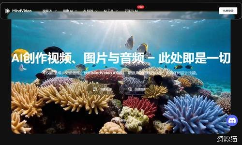 MindVideo AI
